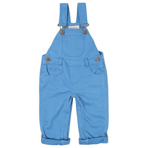 Blue Overalls
