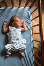 Load image into Gallery viewer, Baby Easy-On-Off Romper - Blue
